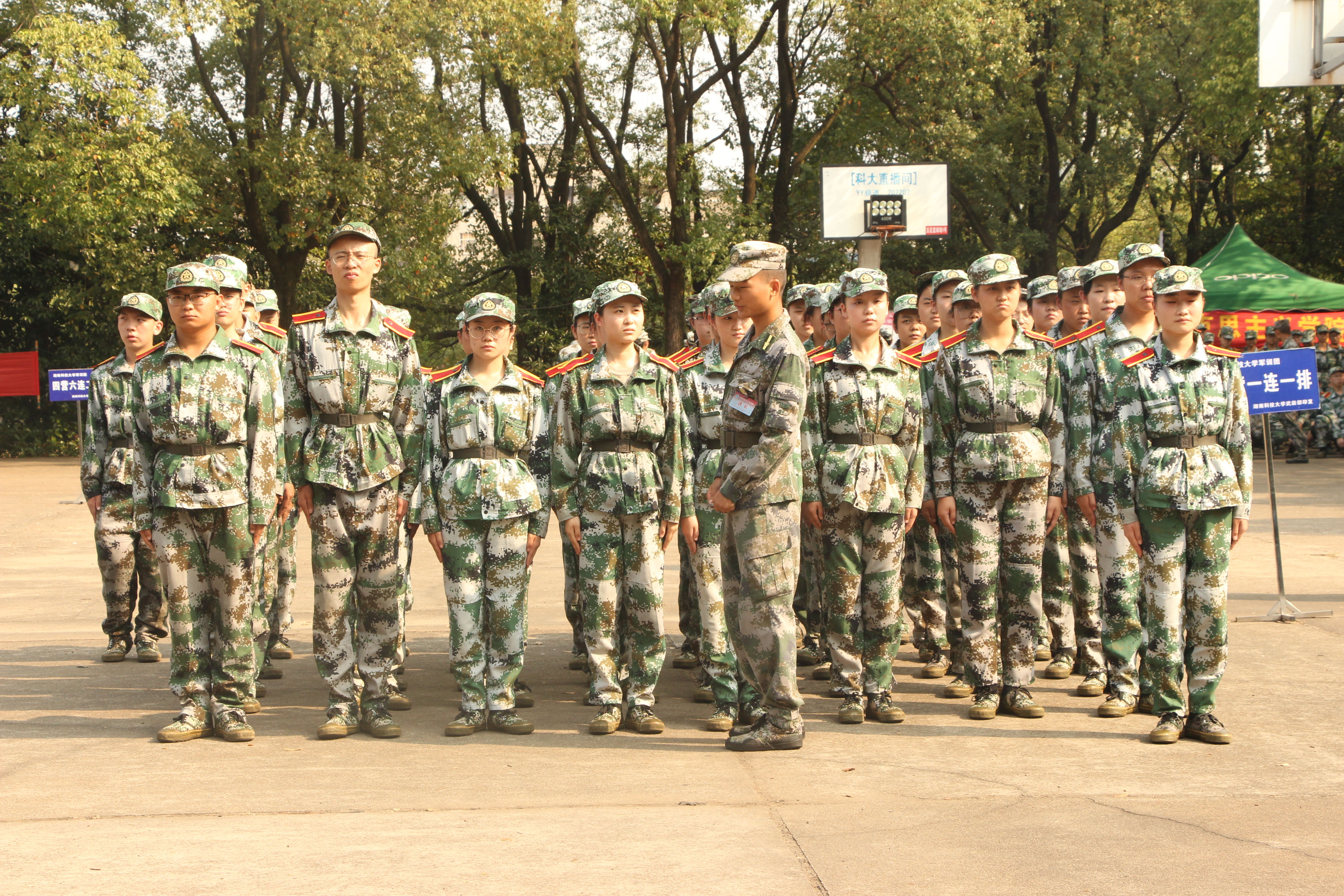 c3820a8a22154fd78ec83d615e6dbaad.jpg c3820a8a22154fd78ec83d615e6dbaad.jpg