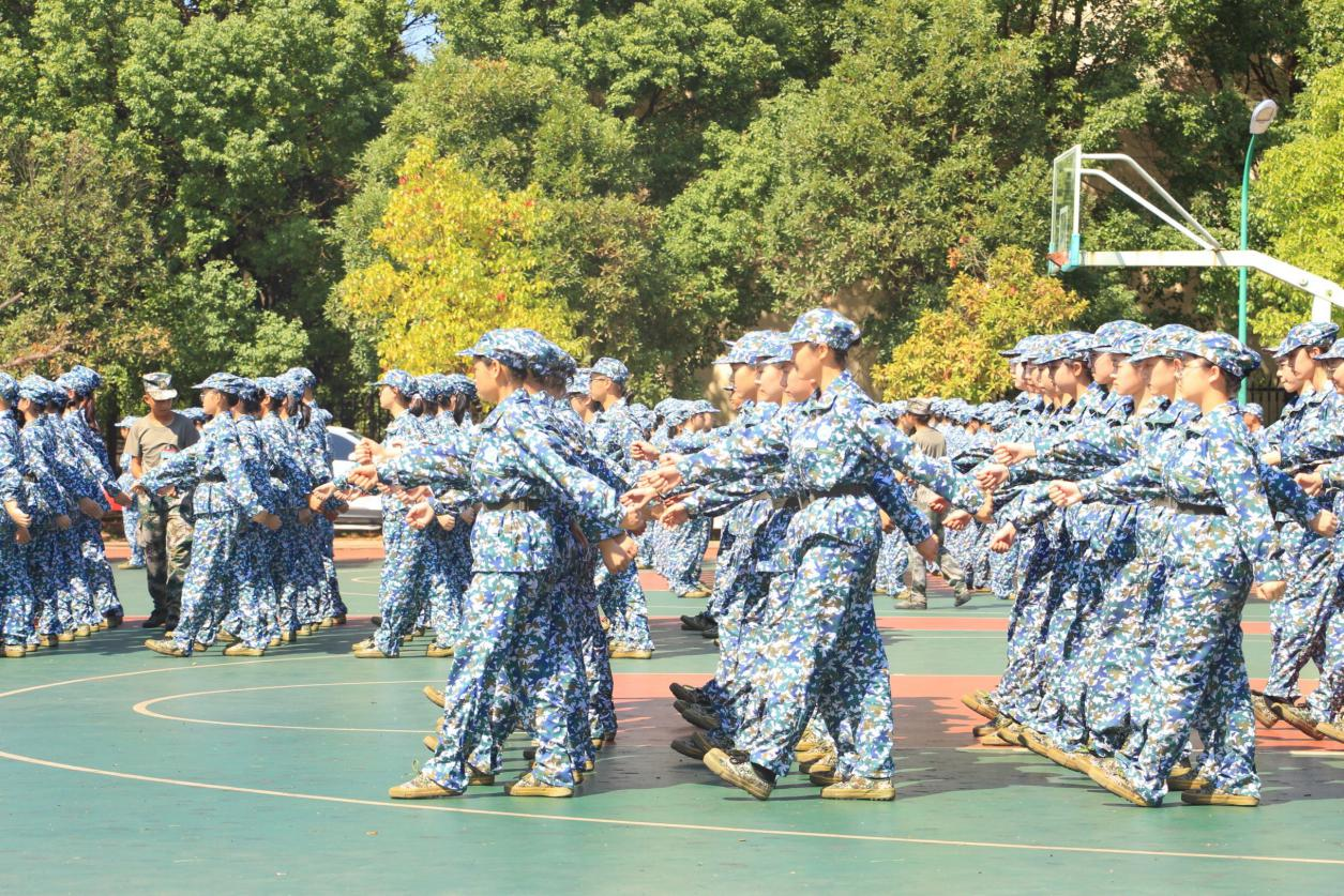 56b4d8865bfa41d780ea834edeb03e08.png 56b4d8865bfa41d780ea834edeb03e08.png