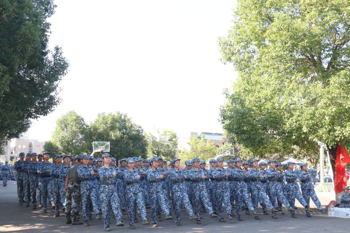 f85155c923a84ed1840d5e2eb1fcc069.png f85155c923a84ed1840d5e2eb1fcc069.png